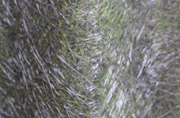 Rhosgyll fibreglass roof work